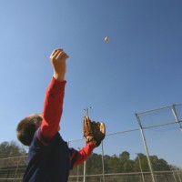 Fly Ball | Confessions of a Dr. Mom